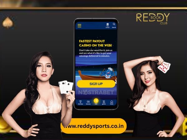 Reddy Anna Login_ Securely Access Your Online Betting Account (2)